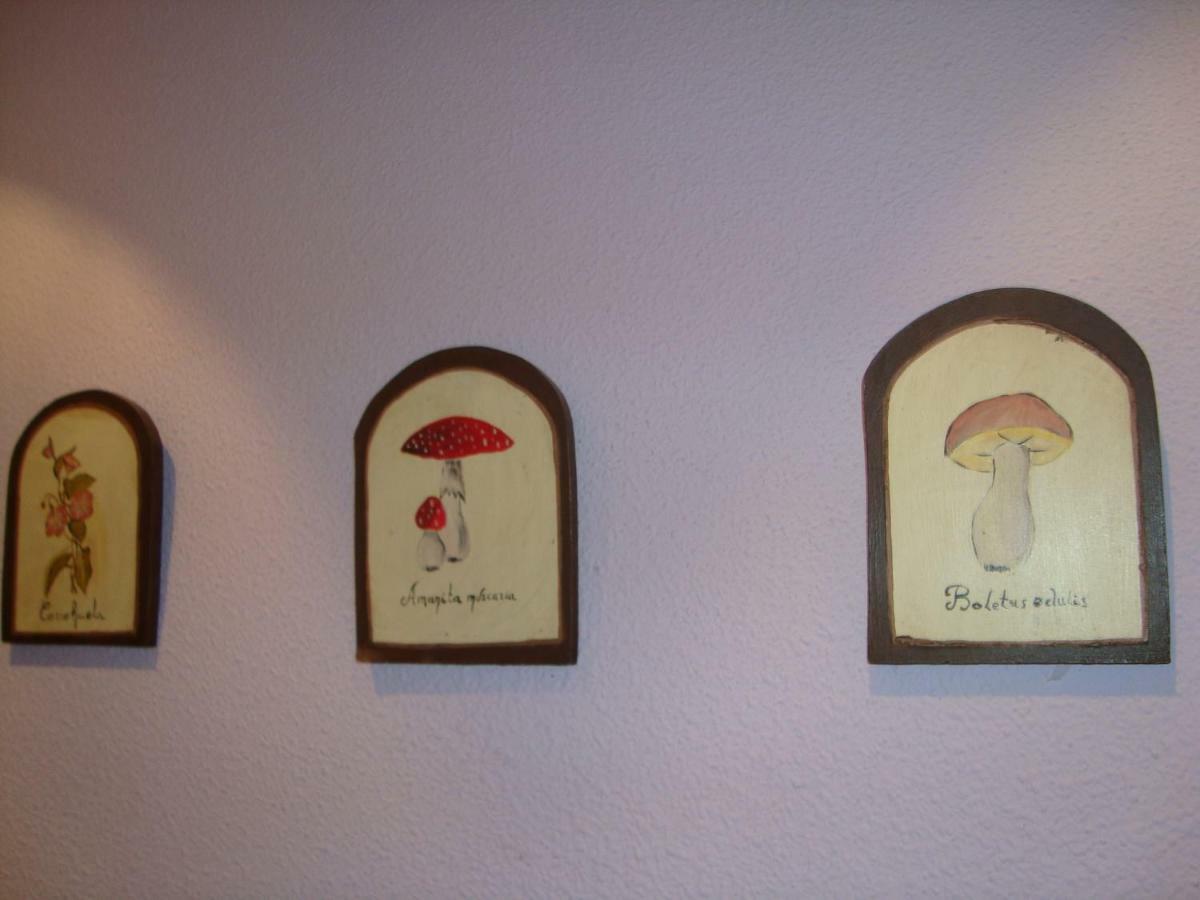 Apartamento Casa Go Torla Esterno foto